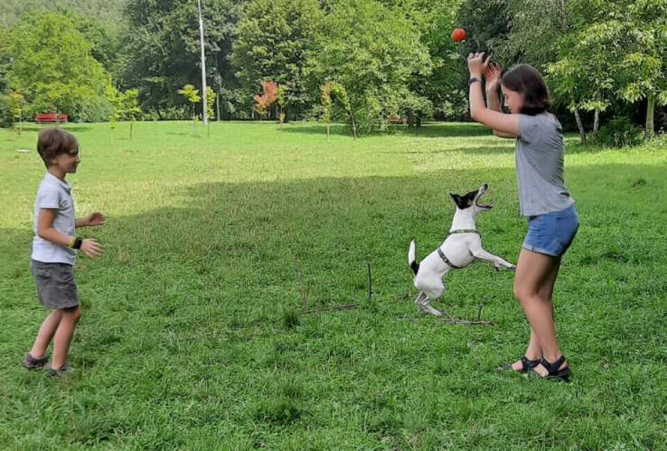 Анастасія та Катерина (2)